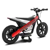 Rouge12V7AH*2