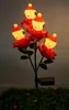 Negro (Luz Cálida)