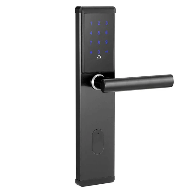 Smart Finger Print Salto Lock Systems