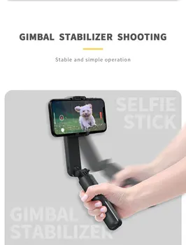 Hot Sale L09 Carbon Fiber Gimbal Stabilizer Wireless Remote Control Tripod Selfie Stick 360 Rotation Anti-shake with Fill Light detail image