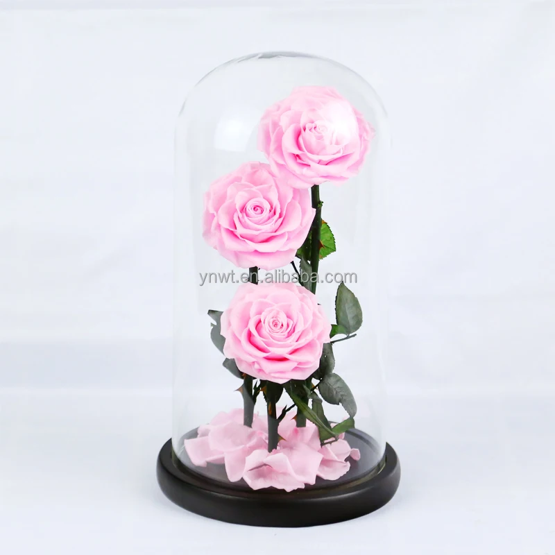 Rosa En Cúpula De Cristal,Conjunto De Regalo De Flores Preservadas De Tallo  Largo,Venta Al Por Mayor - Buy Y Rosa Flor Conjuntos Para Regalo,Tallo  Largo Y Rosa,Y Rosa En Cúpula De Vidrio