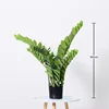 Money Tree Potted Plant - 90cm