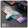 Color-blocked set, white and gray [T26]