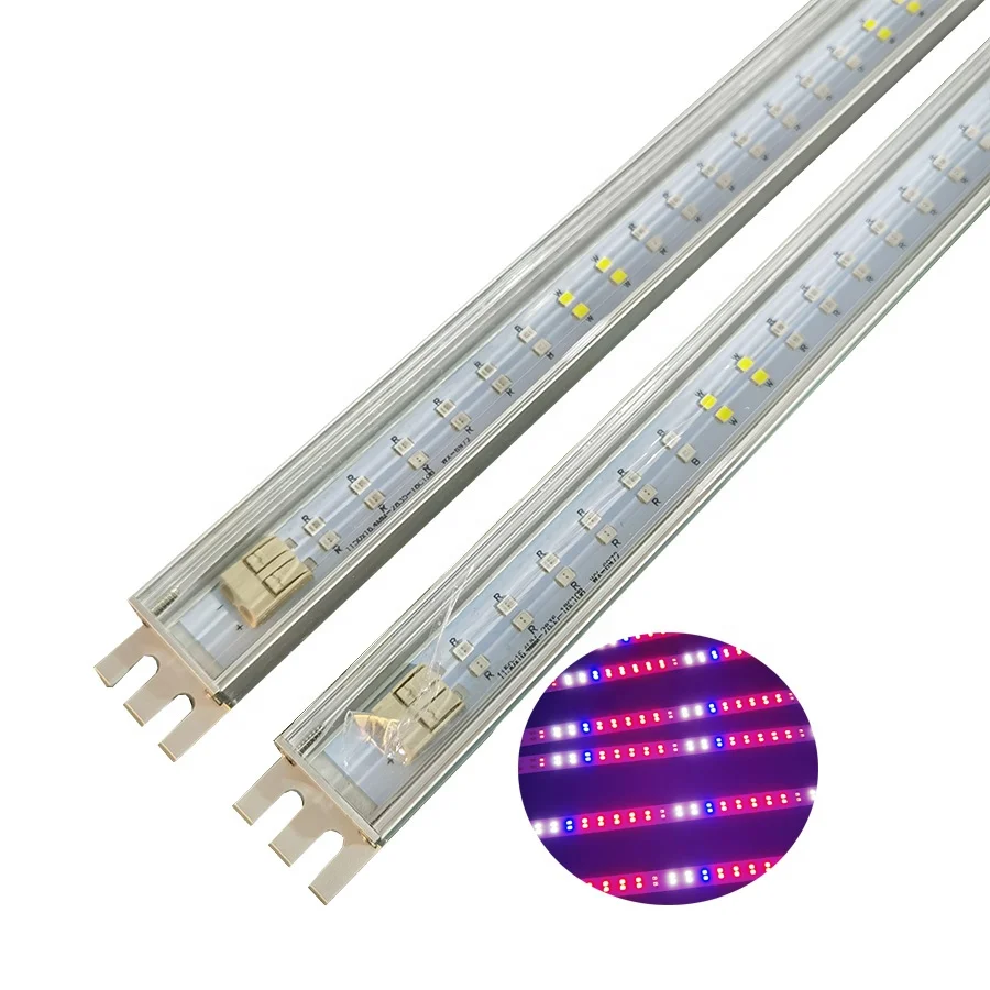 
Низкое энергопотребление t8 синего и красного цвета с полным спектром пробки СИД Свет для выращивания 