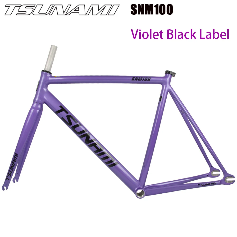 TSUNAMI-SNM100-700C-Frame-49cm