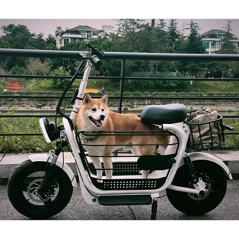 Factory 48v1000w20ah Dual Motor Pet Dog Cat Carrier Seater Cargo Electric  Scooter Electric Bike Basket