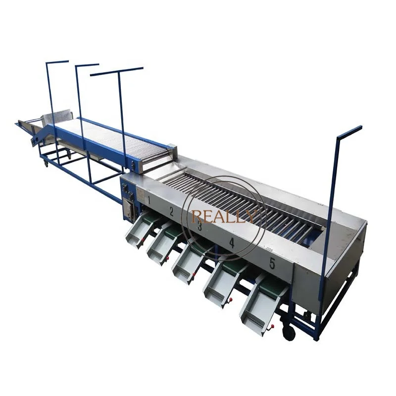 2024 Automatic Fruit Sorting Sorter Weight Size Potato Tomato Vegetable Grader Grading Machine