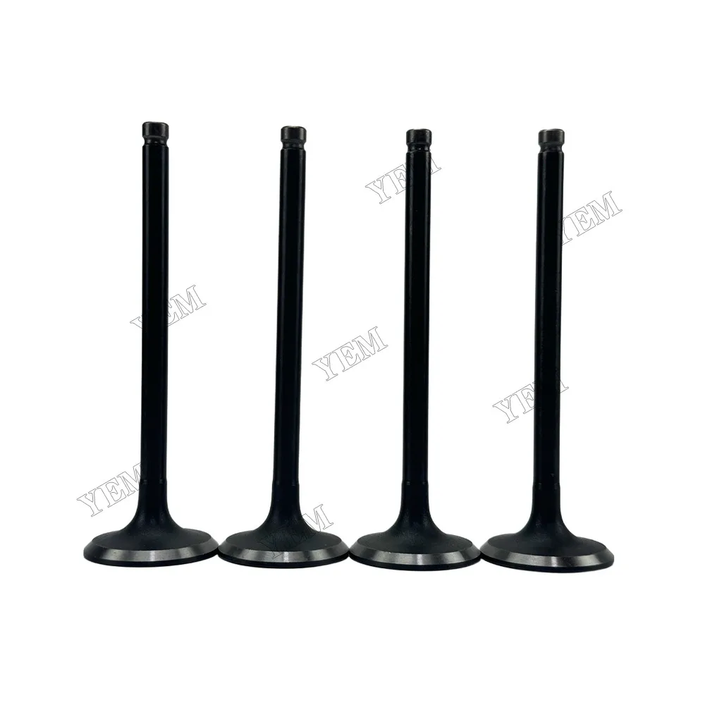 Intake Valve Fit for Mitsubishi 4D56 Engine 2