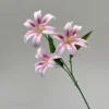 Lys doré rose violet