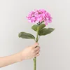 ไฮเดรนเยียสีชมพูขนาดใหญ่-สูง 45 ซม.-เส้นผ่านศูนย์กลางหัวดอก 23 ซม