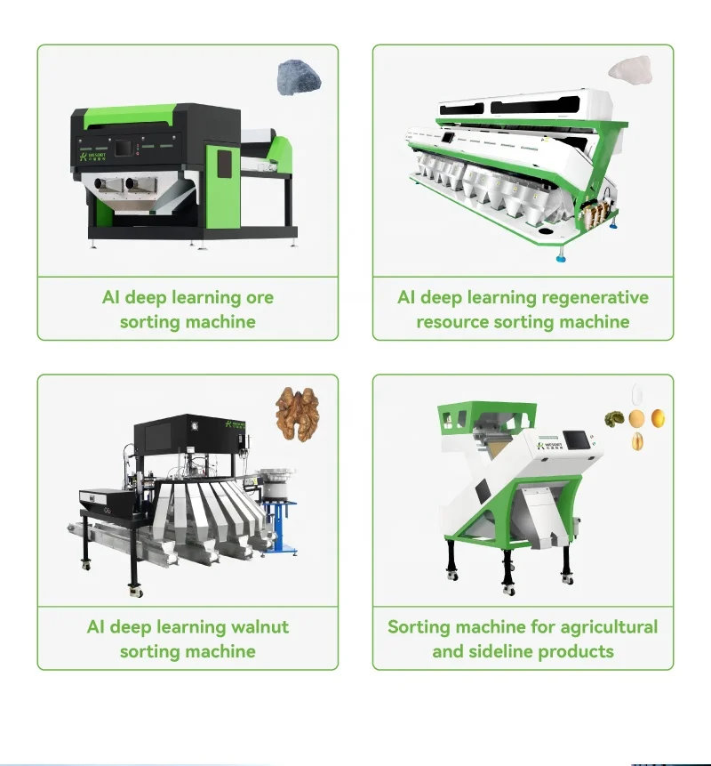 Manufacturer Cheapest Walnut Inshell Paper Wallnut Color Sorter Sorting Machine