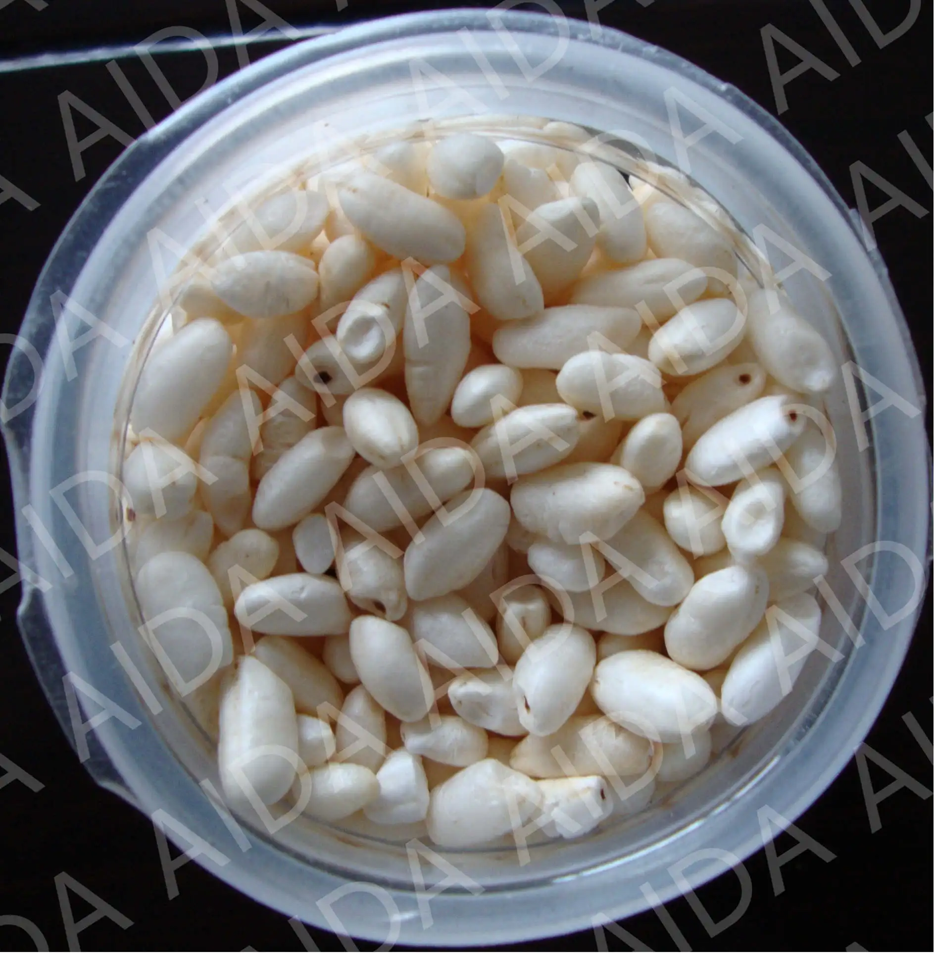 Airflow Wheat Puffing Millets Puff Gun Machine Air Popcorn Popping