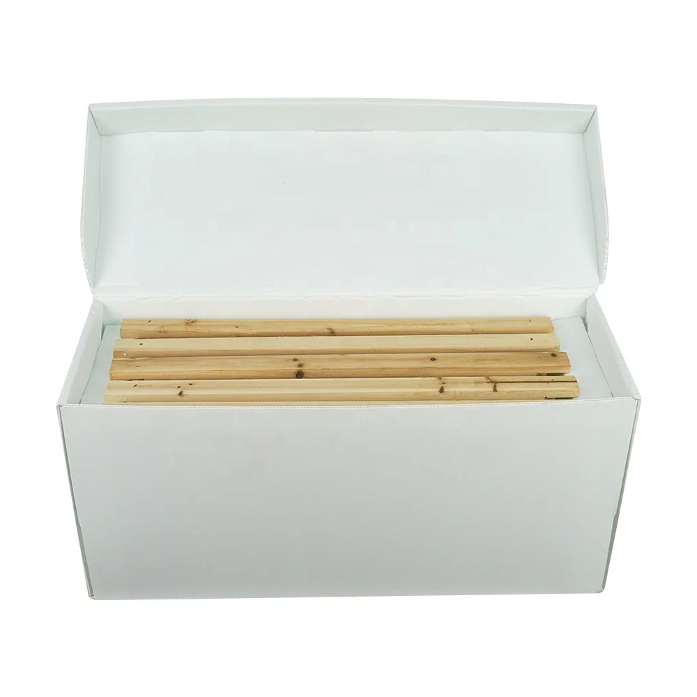 Customized PP 5 Frames Langstroth Cardboard Nuc Box Plastic Beekeeping Nucleus for Bees