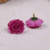 สีม่วงอันหนึ่ง