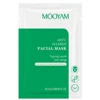Anti-allergy facial mask