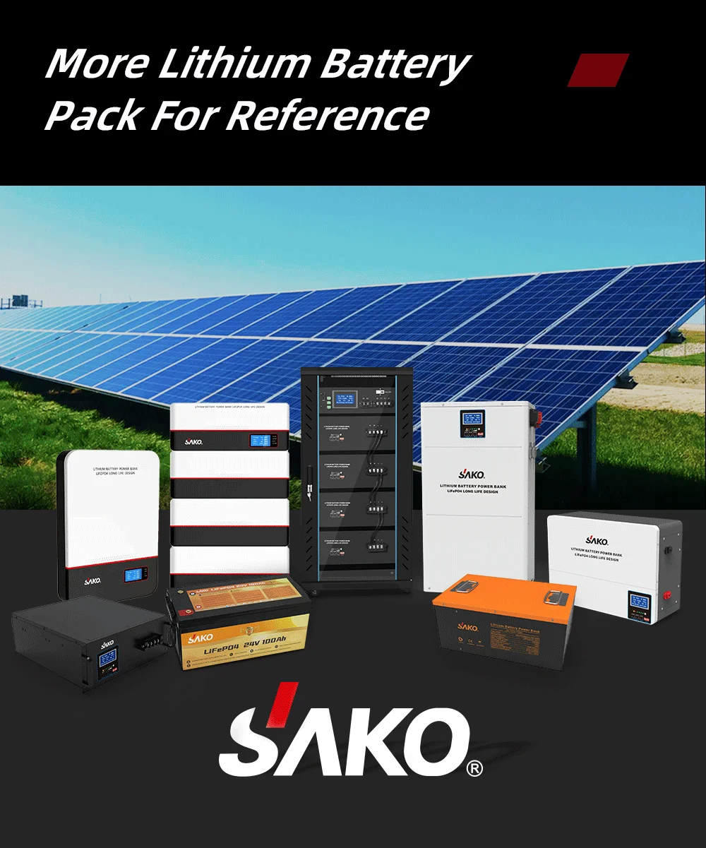 Newest Sako 12v 200a Lithium Lifepo4 Battery 12v 24v Lifepo4 Pack With