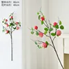 6 cabezas simuladas de manzana rosa
