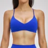 Blue bra