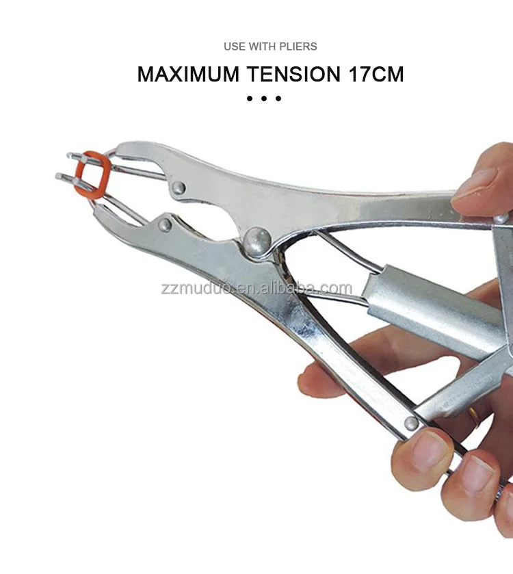 Tail Cutter Castration Rings Dock Bander Rubber Belts Bands Elastrator