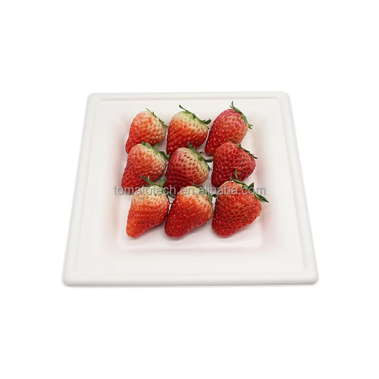 PFAS Free 8 Inch Square Plate Disposable Compostable Bagasse Pulp White ...