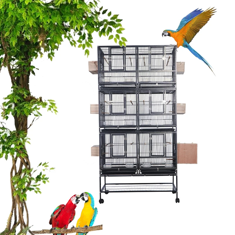 Luxury Designs Wholesale Black Steel Metal Iron Aviary Canary Budgie ... - Macaw Aviary For Sale Wholesale