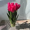 rose red