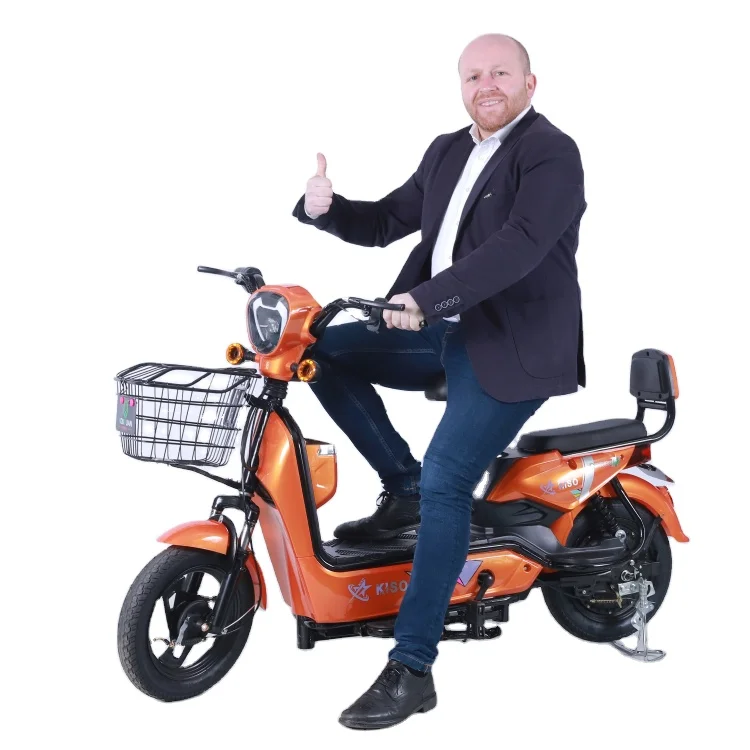 Electric E-Bike Battery Arrow 10 48V 20ah Power