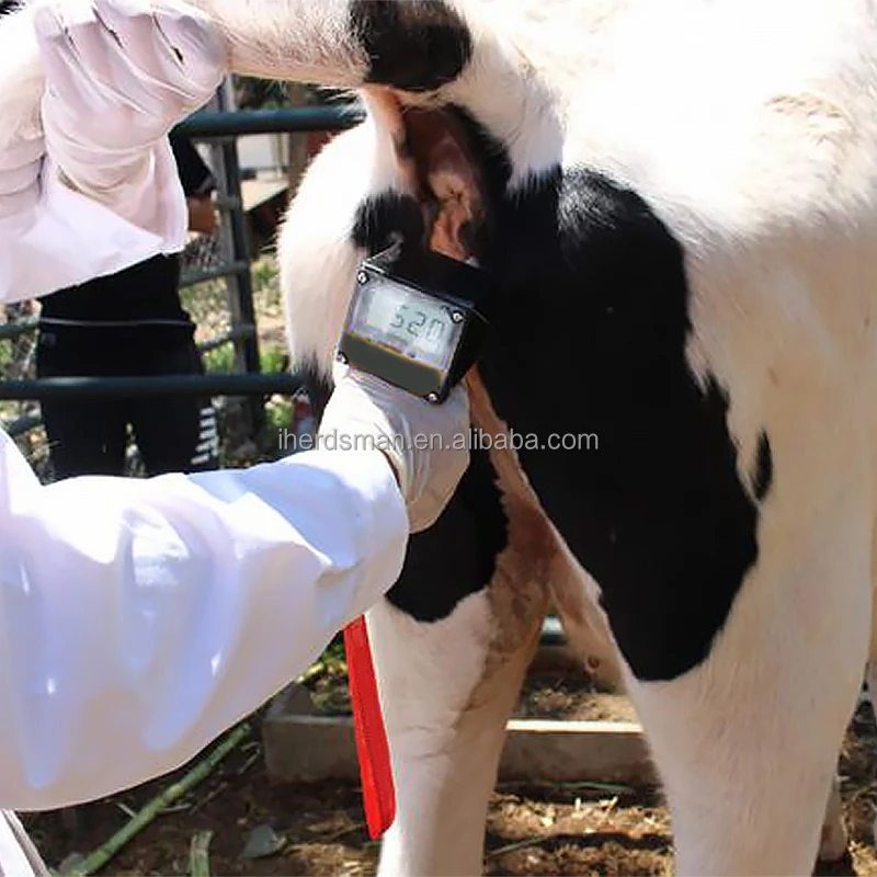 Veterinary Cow Horse Ovulation Detector Tester Machine Animal Ovulation ...