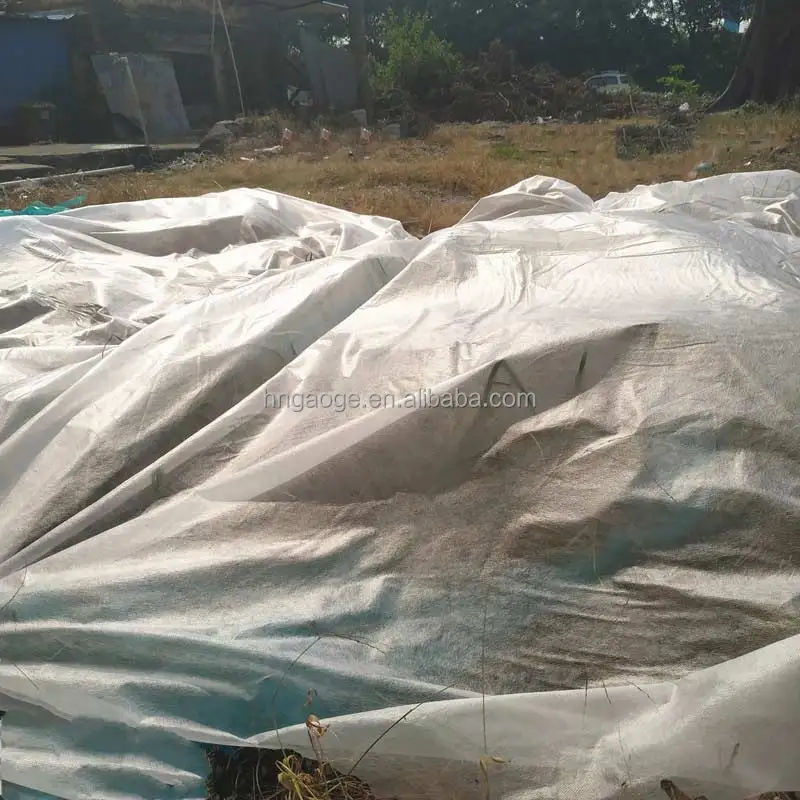 Factory Price Mothproof Biodegradable Recyclable Agriculture Nonwoven Fabric for Vegetable Plant Protection Cover Keep Warm