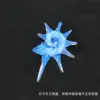 Blue spider conch