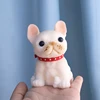 French Bulldog  yellow