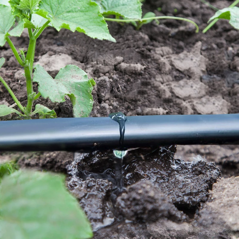 One Hectare Pepper Chili Onion Farm Pn16 Hdpe Hose Drip Irrigation