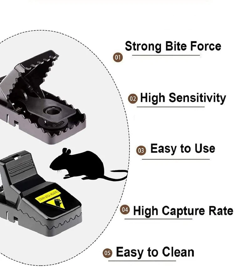 Mouse Trap _08.jpg
