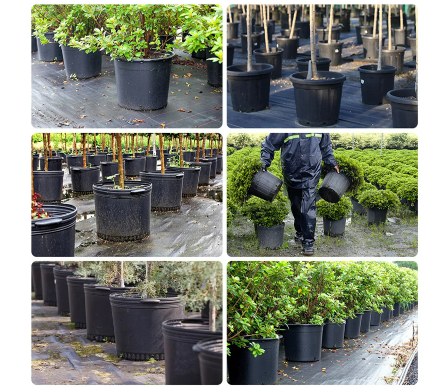 Wholesale Black Nursery Garden PP Large Big Size Tree Flower Planter Flower  Pots Plastic Plant Pots