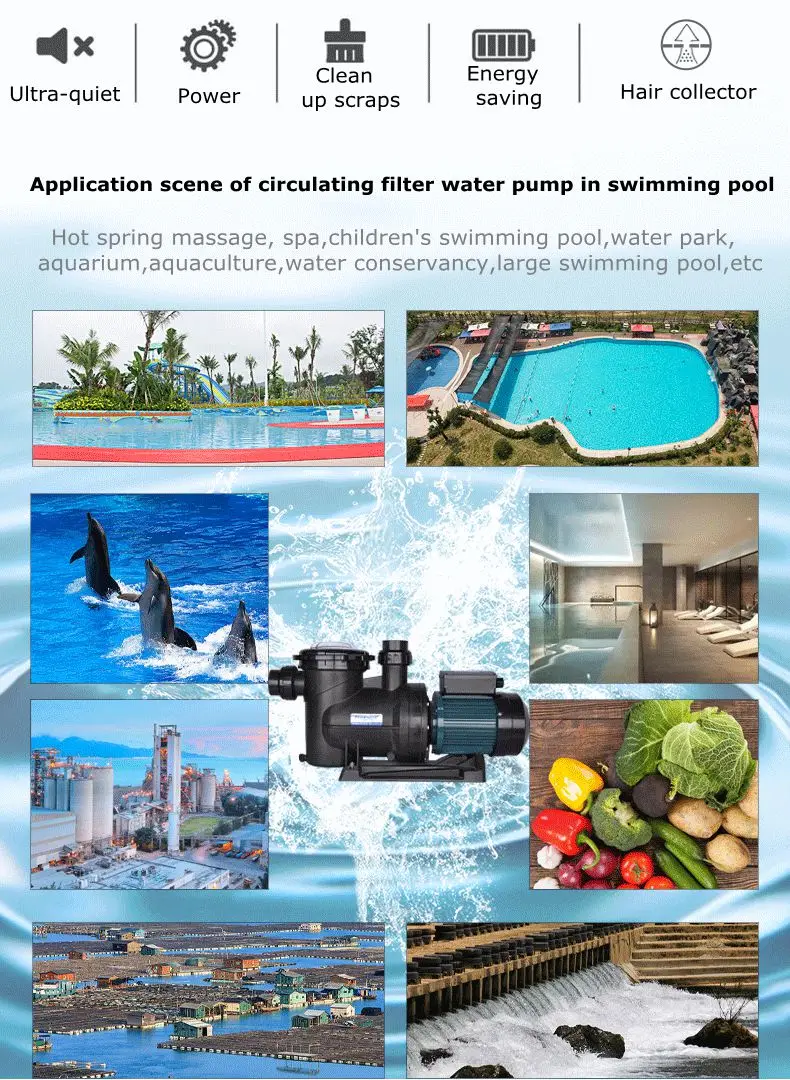 Pentair Silent Swimming Pool Water Pump Buy Water Pump,Swimming Pool