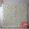 Flower wall  9