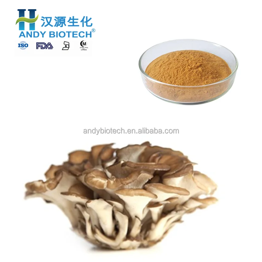 Maitake Mushroom Extract2