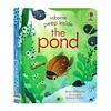 Hole pond