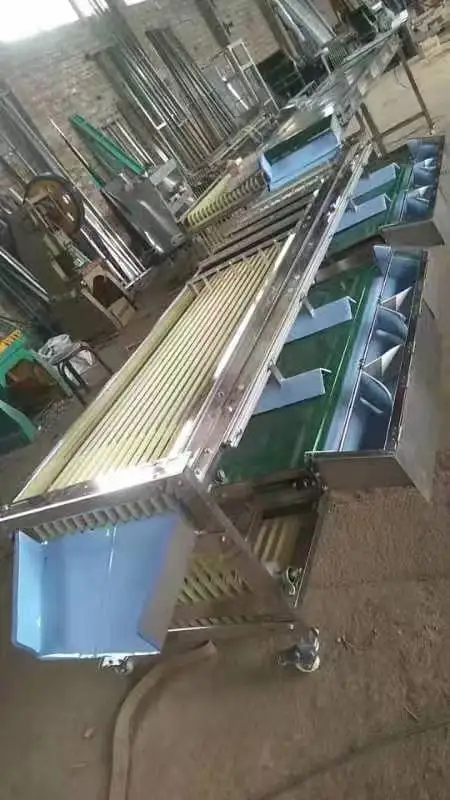 Fruit Blueberry Blueberries Sorting Grading Machine Sorter Grader Machine Line Classifying Machines
