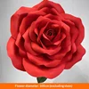 Diamètre de la fleur de rose 1M