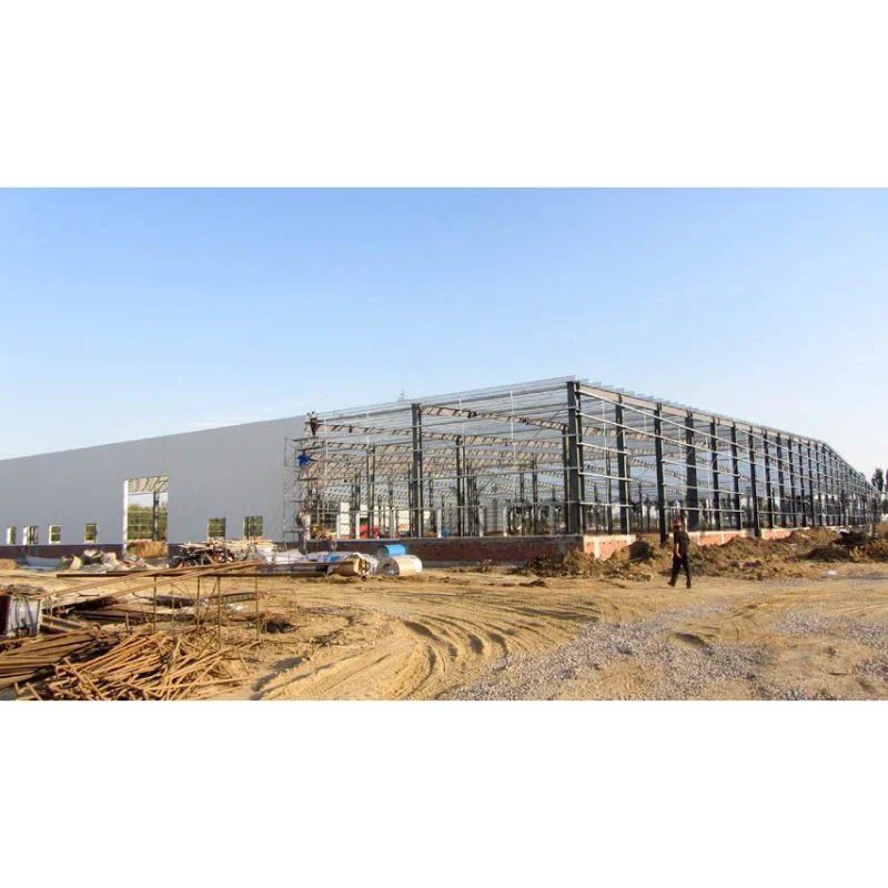 Direct China Supplier Factory Building Design Cyprus Steel Structure Warehouse