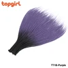 T1B/Pourpre