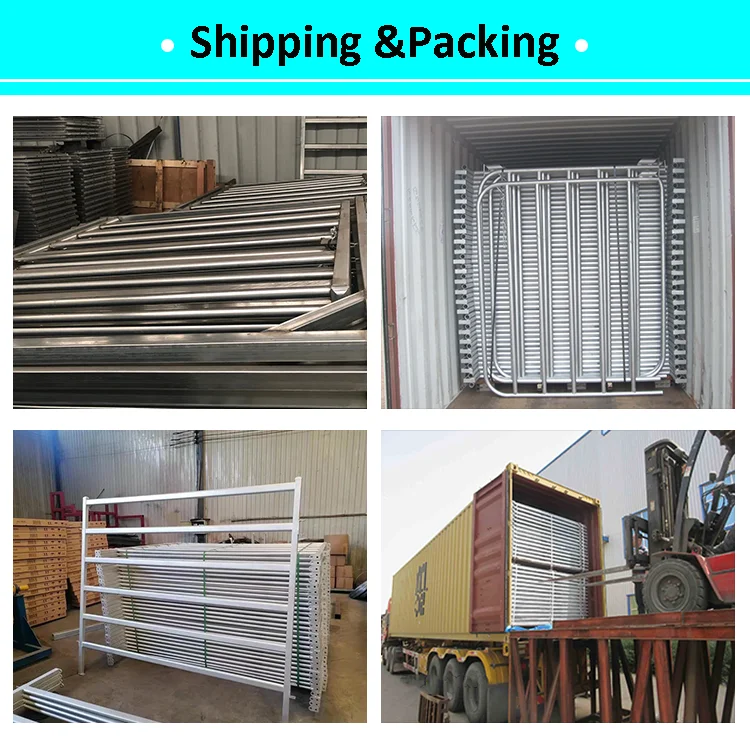 Galvanized Metal Sheep Yard Fence 6 Bar Oval Pipes Livestock Fence