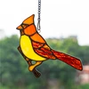 5 oiseau