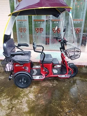 Three Wheel Erv E Bike With Roof Ebike Price Nwow E Trike Family