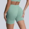 Verde palma