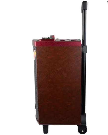 TEMEISHENG 10 Inch Portable USB BT Rechargeable Portable Speaker
