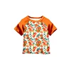 Peach Fruit Print