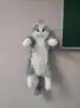 Grey cat