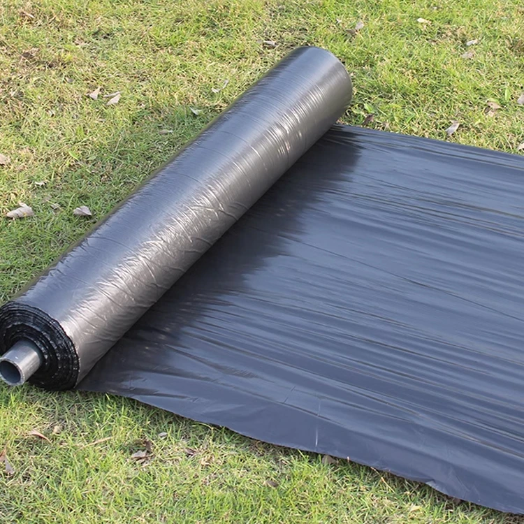 Weed Control Barrier UV Treated Biodegradable Plastic Mulch Layer Perforated Mulch Film Mulching Sheets